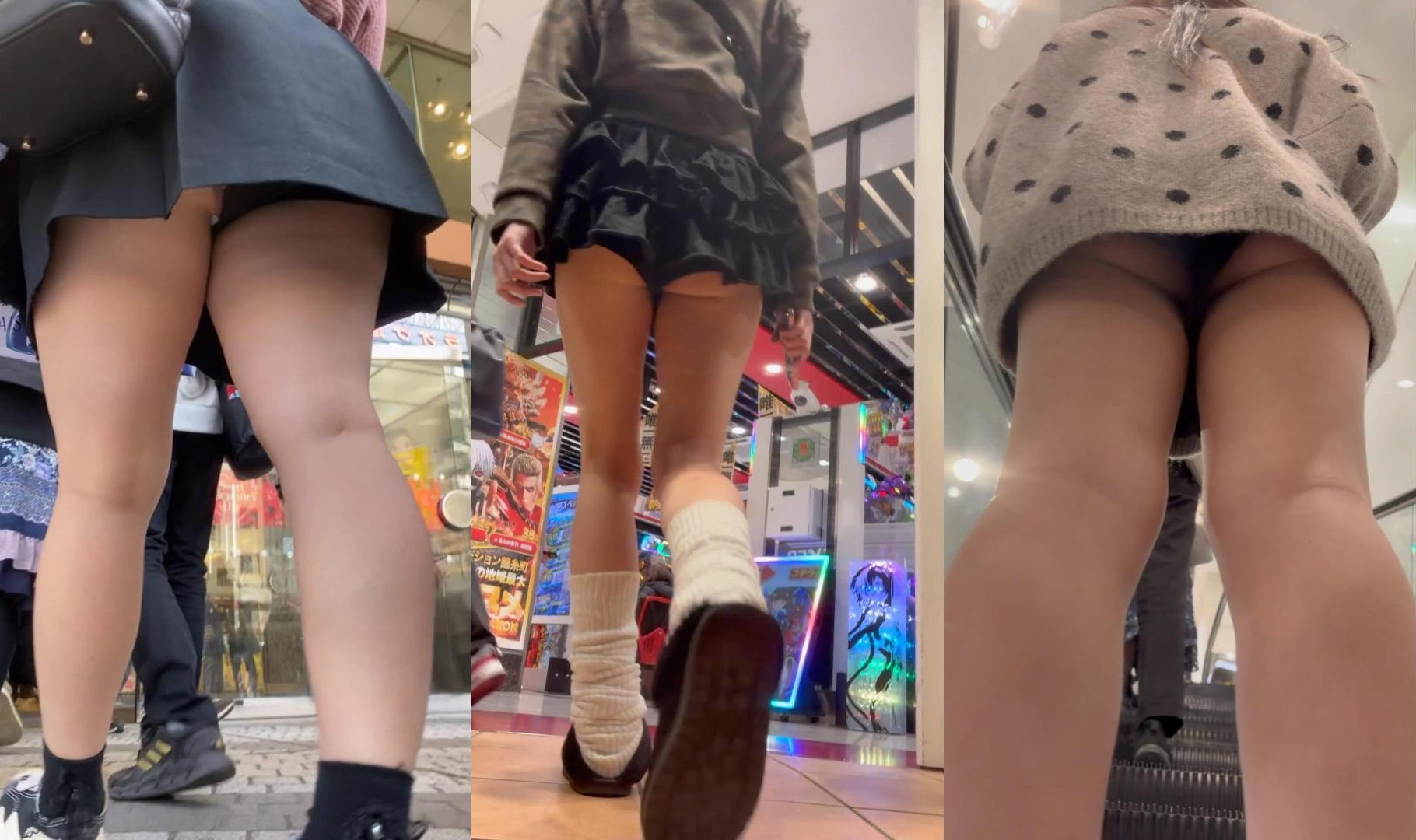 いろいろな鳥⑩