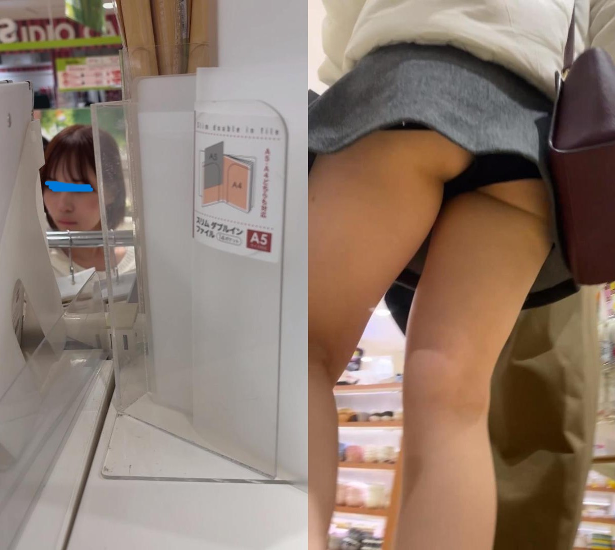 いろいろな鳥⑨