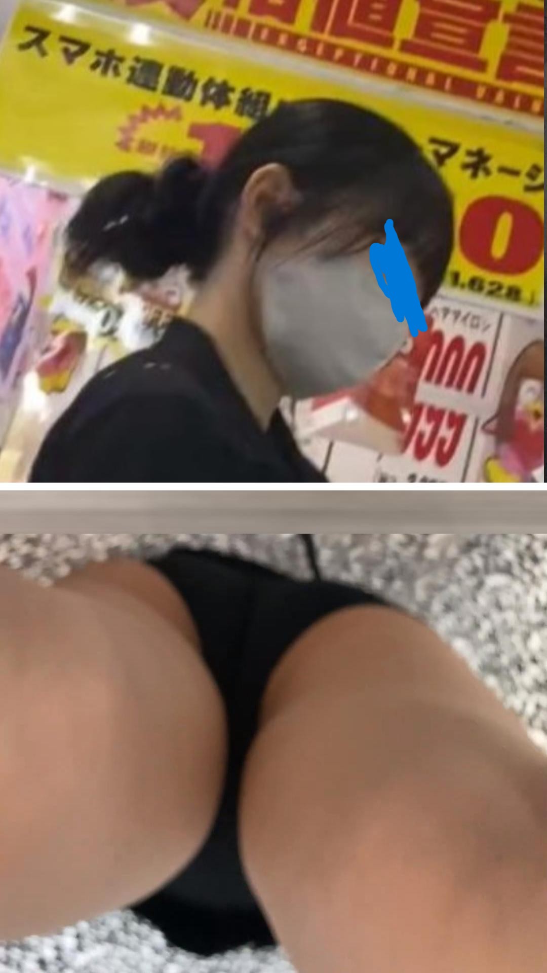 いろいろな鳥⑥